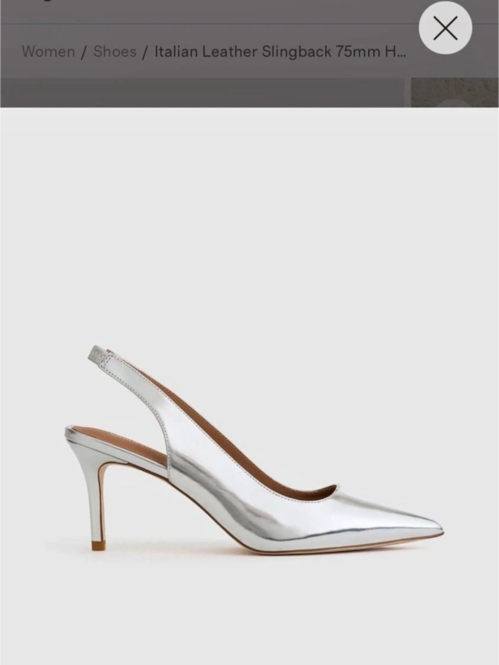 NWT Sz 9 Never Opened Quince Italian Leather Slingback 75mm Heel Silver